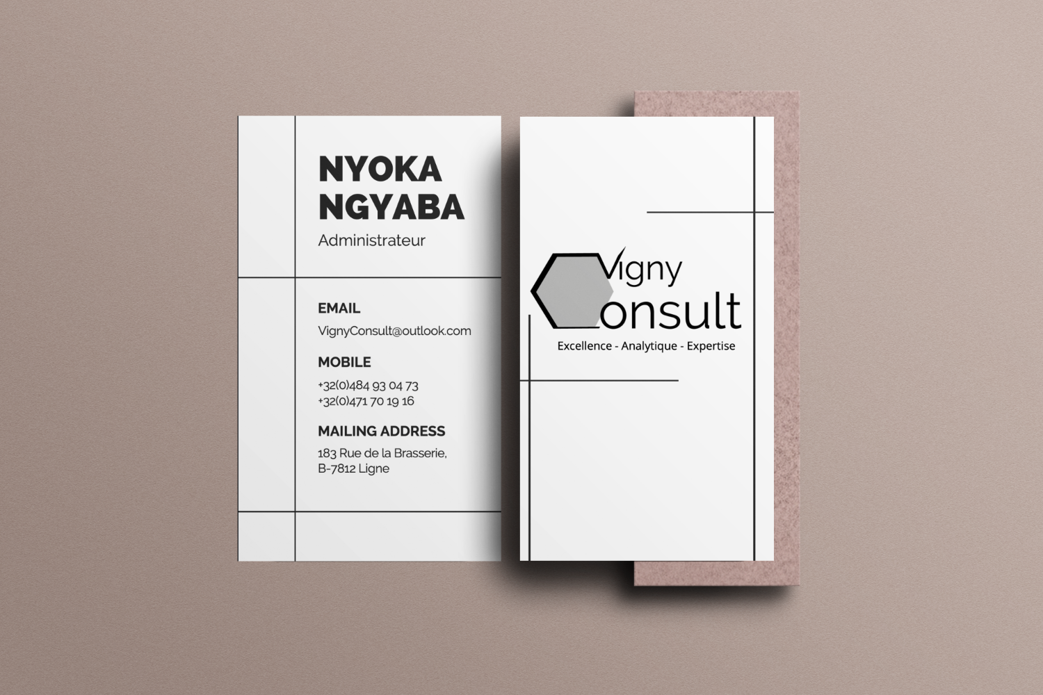 Vigny Consult Business card
